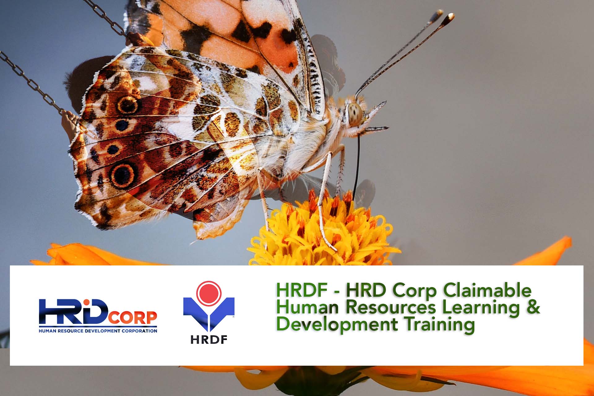 HRDF – HRD Corp Claimable Human Resources Learning & Development Training