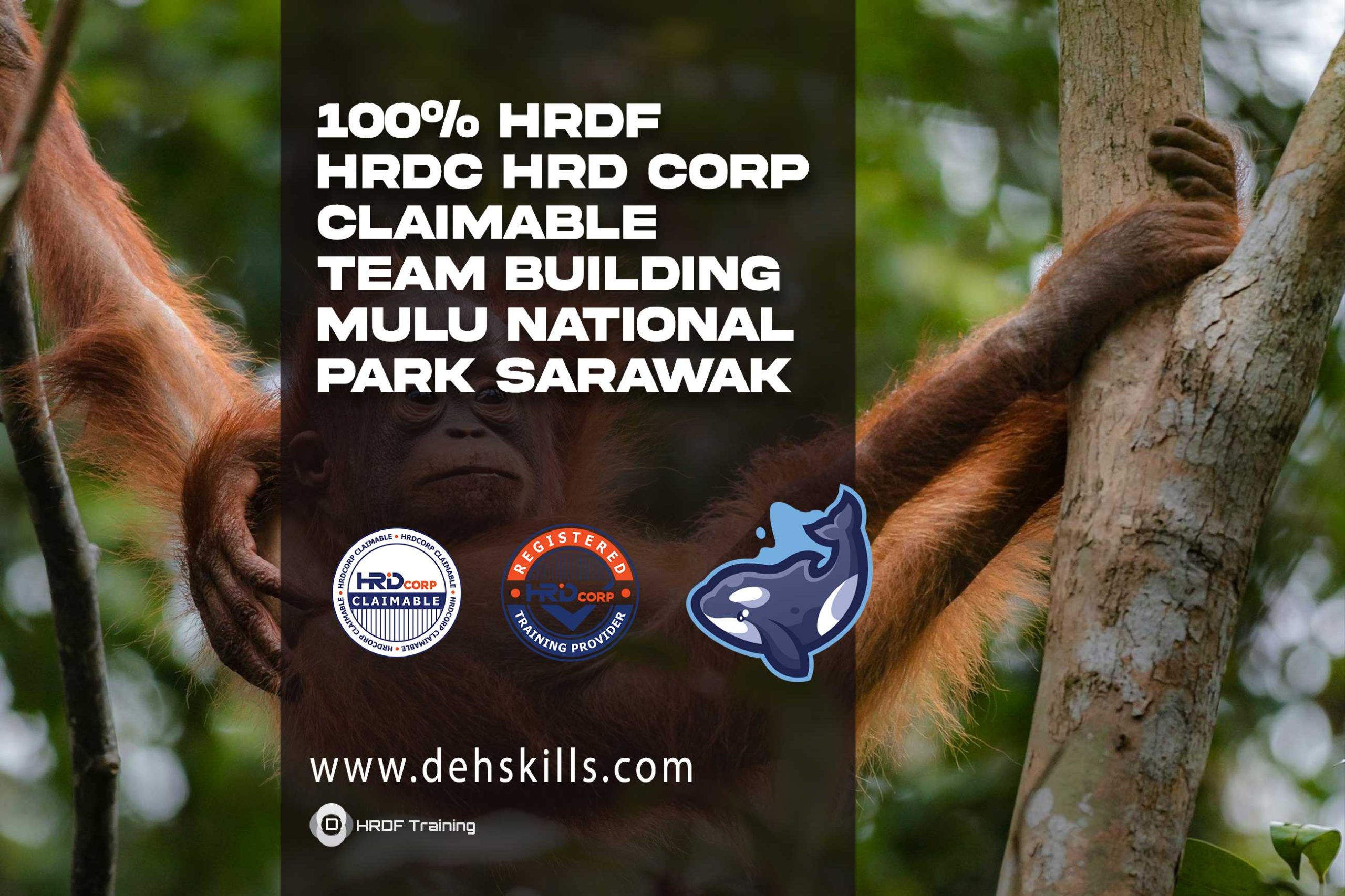 HRDF-HRDC-HRD-Corp-Claimable-Team-Building-Mulu-National-Park-Sarawak